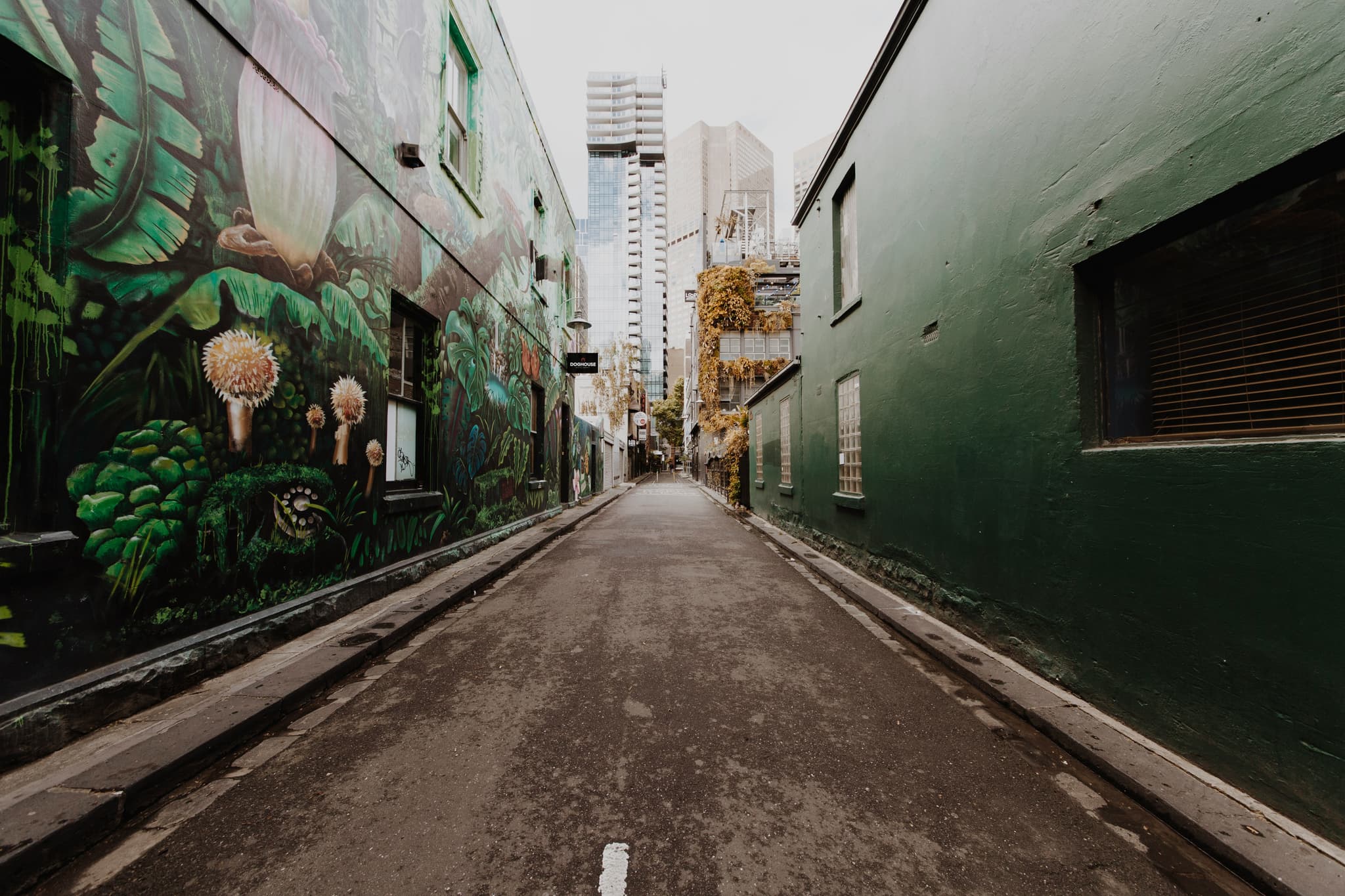 Street Photography